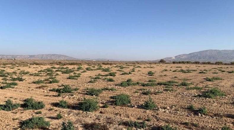 Murcia - Alhama de Murcia - 17328m2