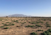 Terreny no urbanitzable en venda a la España, Alhama de Murcia, ref.: TR248214 foto