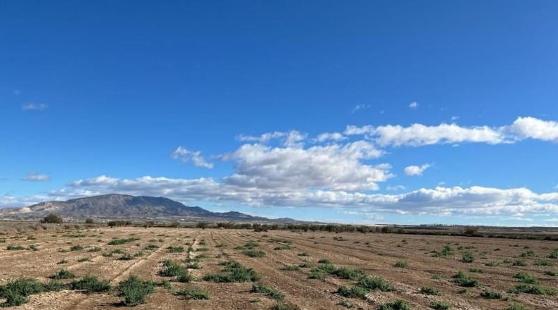 Murcia - Alhama de Murcia - 17328m2