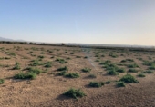 Terreny no urbanitzable en venda a la España, Alhama de Murcia, ref.: TR248214 foto