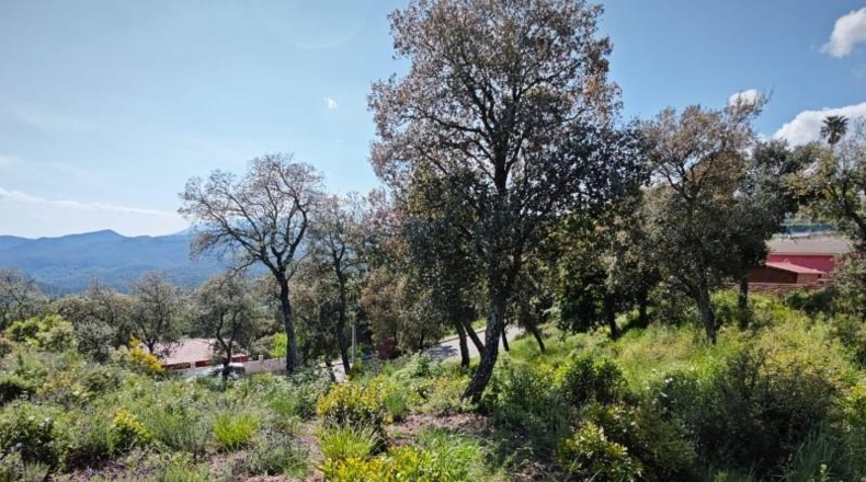 Gerona - Riudarenes - 1008m2