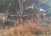 Terreny no urbanitzable en venda a la España, Chiclana de la Frontera, ref.: TR270109 foto