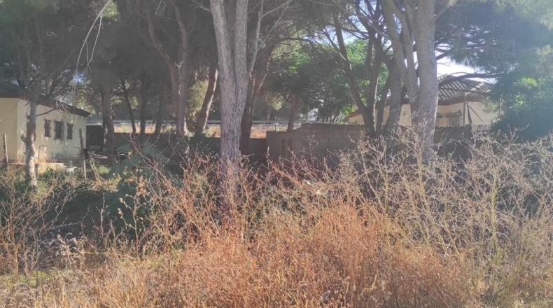 Cádiz - Chiclana de la Frontera - 500m2