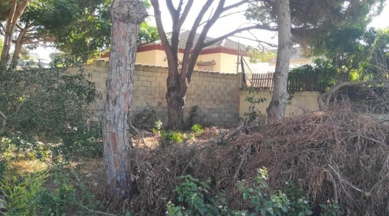 Cádiz - Chiclana de la Frontera - 500m2