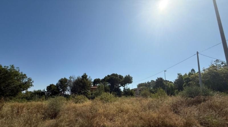 Valencia - Alberique - 2967m2