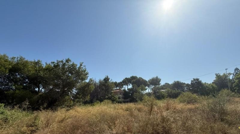 Valencia - Alberique - 2967m2