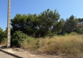 Urban land for sale on España, Alberic, ref: TR270107 photo