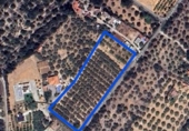 Terreno no urbanizable en venta en la España, Masdenverge, ref: TR265496 foto