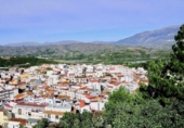 Sòl urbà en venda a la España, Benamocarra, ref.: TR338668 foto