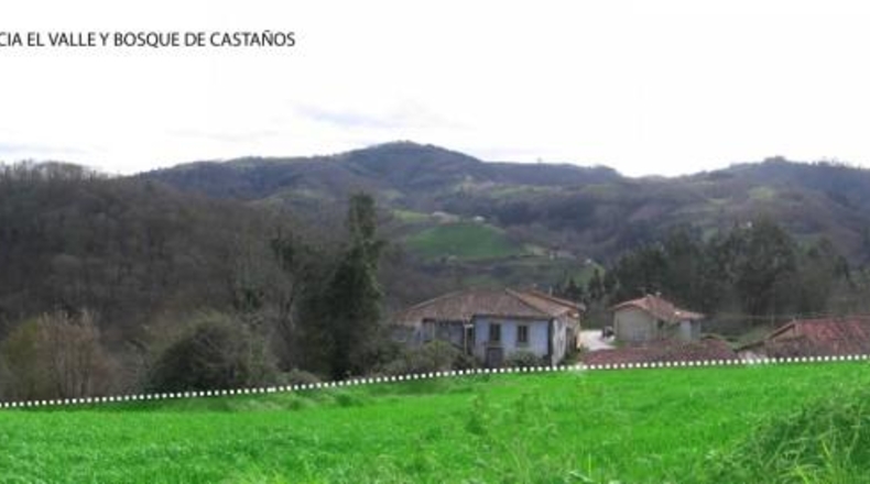 Asturias - Carranques - 1103m2