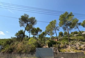 Foto 7