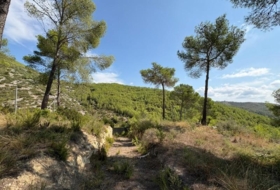 Foto 11