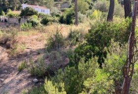 Foto 15