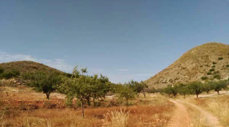 Murcia - Cartagena - 60370m2