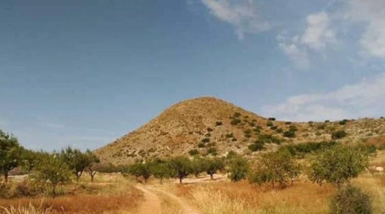 Murcia - Cartagena - 60370m2