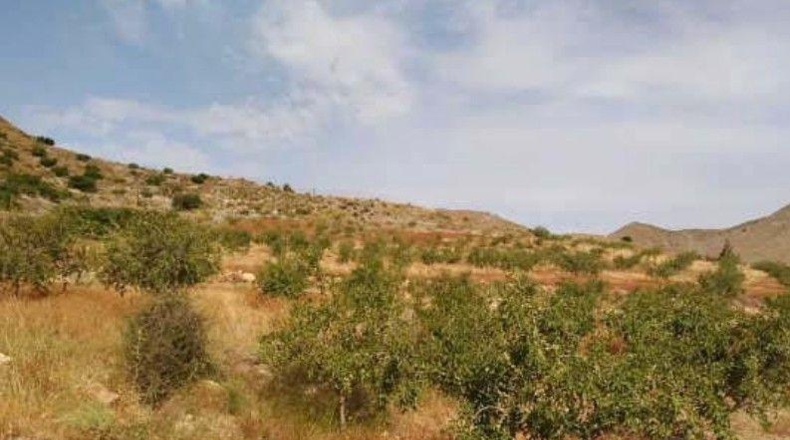 Murcia - Cartagena - 60370m2