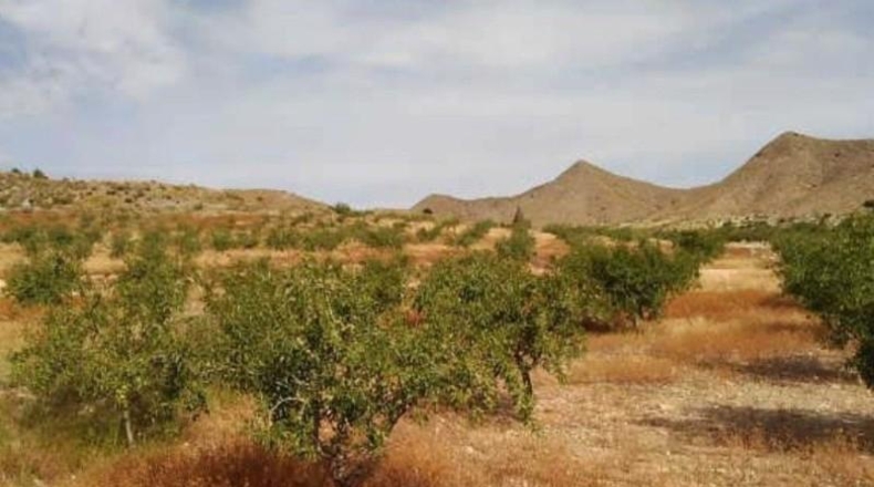 Murcia - Cartagena - 60370m2