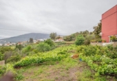 Terreno no urbanizable en venta en la España, La Orotava, ref: TR310655 foto