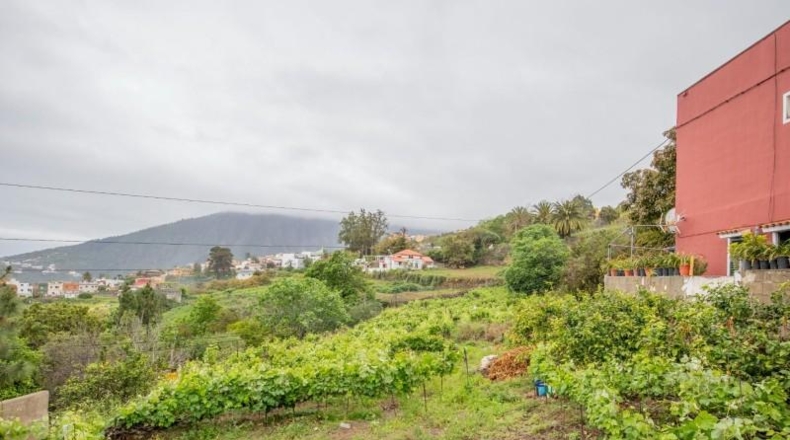 Santa Cruz de Tenerife - La Orotava - 2100m2