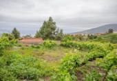 Terreno no urbanizable en venta en la España, La Orotava, ref: TR310655 foto