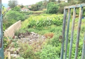 Terreno no urbanizable en venta en la España, La Orotava, ref: TR310655 foto