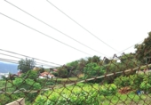 Terreno no urbanizable en venta en la España, La Orotava, ref: TR310655 foto