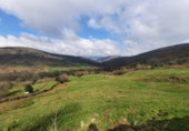 Finca rústica en venda a la España, San Pedro del Romeral, ref.: TR291587 foto
