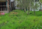 Casa de campo con terreno en venta en la España, Torre del Bierzo, ref: TR226973 foto