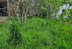 Torre del Bierzo 232&nbsp;m² 