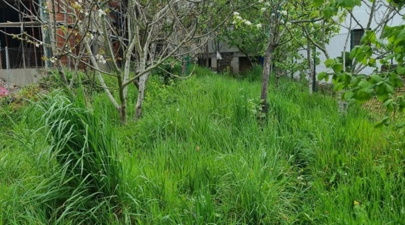Leon - Torre del Bierzo - 232m2
