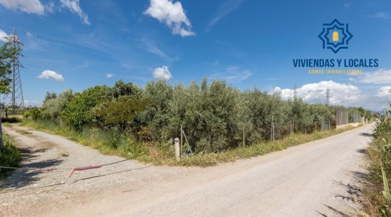 Granada - Cúllar Vega - 3698m2
