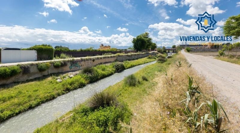 Granada - Cúllar Vega - 3698m2