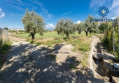 Non-developable land for sale on España, Cúllar Vega, ref: TR251535 photo