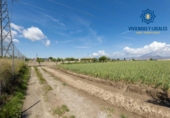 Non-developable land for sale on España, Cúllar Vega, ref: TR251535 photo