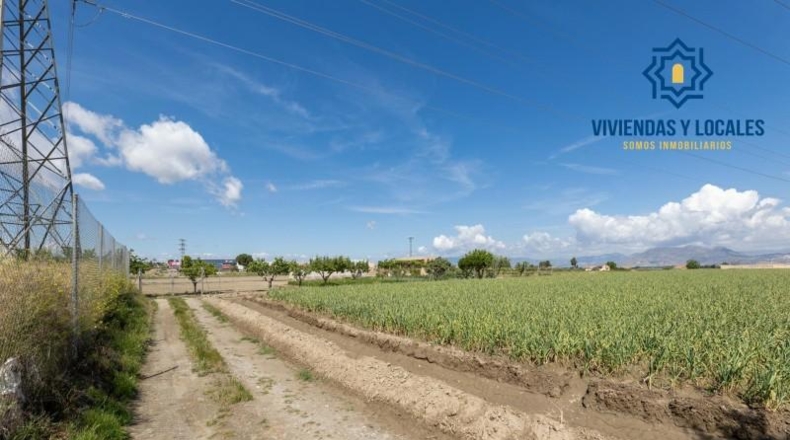Granada - Cúllar Vega - 3698m2
