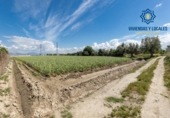 Non-developable land for sale on España, Cúllar Vega, ref: TR251535 photo