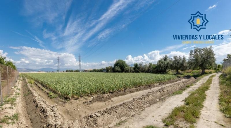 Granada - Cúllar Vega - 3698m2