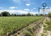 Non-developable land for sale on España, Cúllar Vega, ref: TR251535 photo