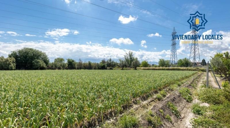 Granada - Cúllar Vega - 3698m2