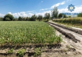 Non-developable land for sale on España, Cúllar Vega, ref: TR251535 photo