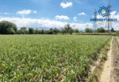 Non-developable land for sale on España, Cúllar Vega, ref: TR251535 photo