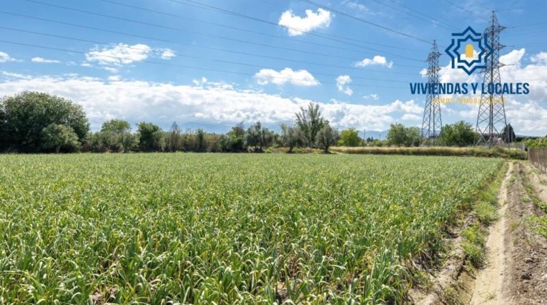 Granada - Cúllar Vega - 3698m2