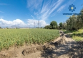 Non-developable land for sale on España, Cúllar Vega, ref: TR251535 photo