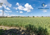 Non-developable land for sale on España, Cúllar Vega, ref: TR251535 photo