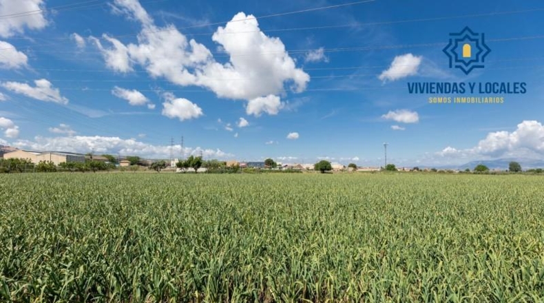 Granada - Cúllar Vega - 3698m2
