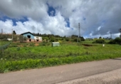 Terreny no urbanitzable en venda a la España, Ciudad Residencial Perlora, ref.: TR313431 foto