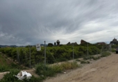 Terreny no urbanitzable en venda a la España, Múrcia, ref.: TR317525 foto