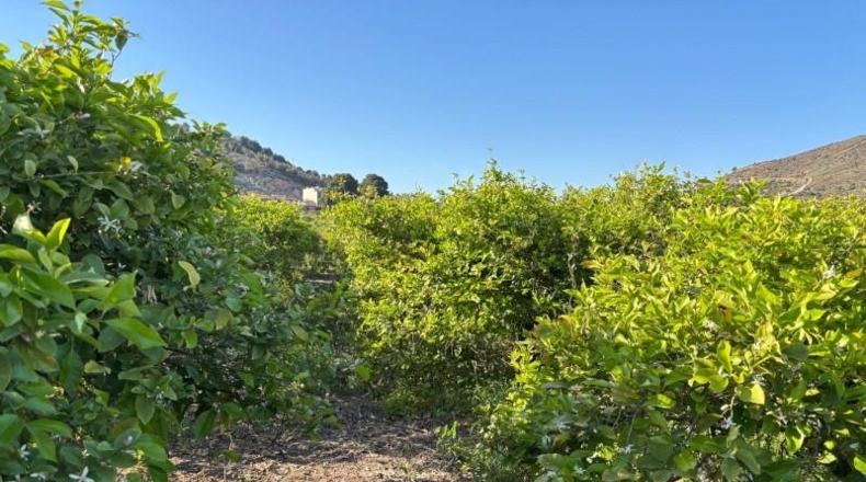 Мурсия - Murcia - 3300m2