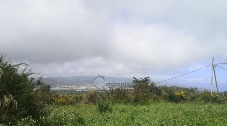 Santa Cruz de Tenerife - Santa Cruz de Tenerife - 1866m2