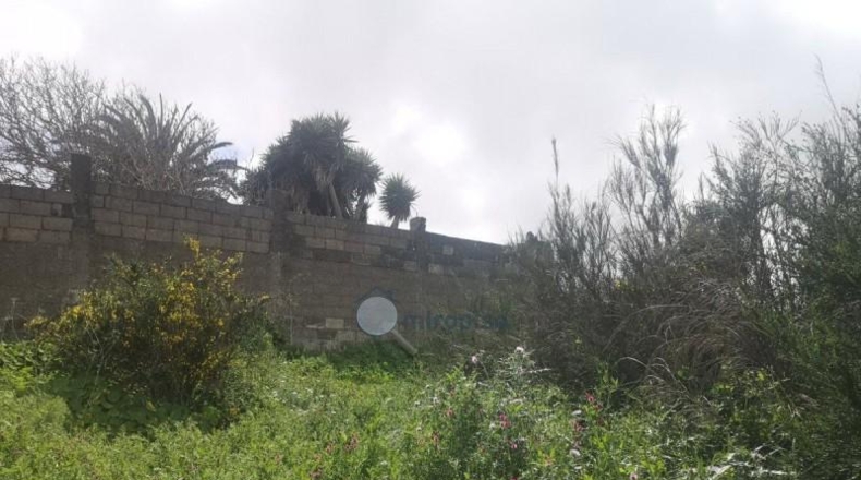 Santa Cruz de Tenerife - Santa Cruz de Tenerife - 1866m2